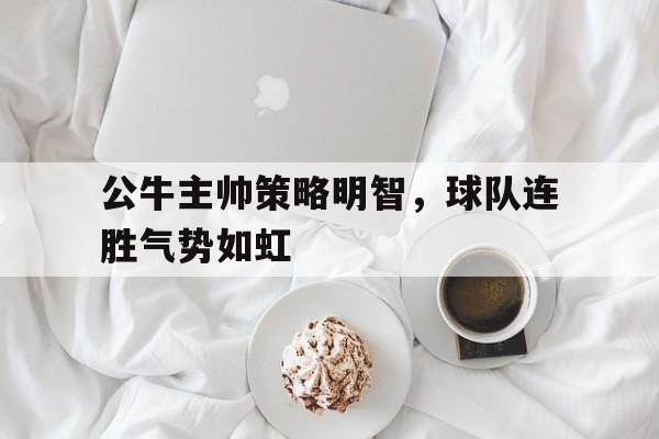 公牛主帅策略明智，球队连胜气势如虹的简单介绍